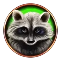 icon 5