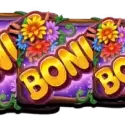 Bonus Buy 7 Free Spins