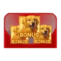 Bonus Buy 7 Free Spins