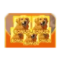 Bonus Buy Bonus Max