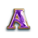 icon 5
