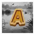icon 5