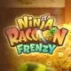 Ninja Raccoon Frenzy