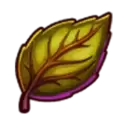 icon 4