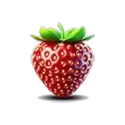 icon 2