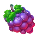 icon 5