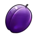 icon 5
