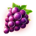 icon 4
