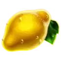 icon 9