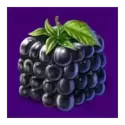 icon 3