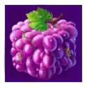 icon 6