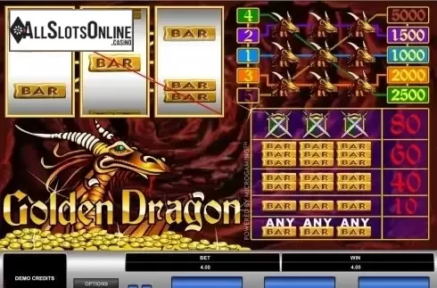 Win screen. Golden Dragon (Microgaming) from Microgaming