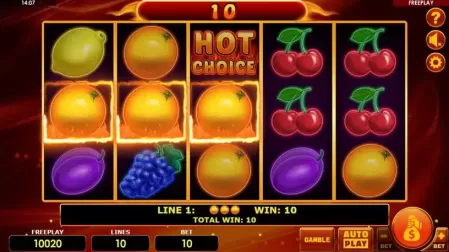 Hot Choice Deluxe slot screenshot 4