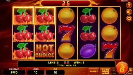 Hot Choice Deluxe slot screenshot 3