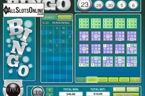Screen5. Instant Bingo from Rival Gaming