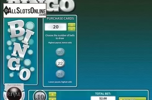 Screen2. Instant Bingo from Rival Gaming