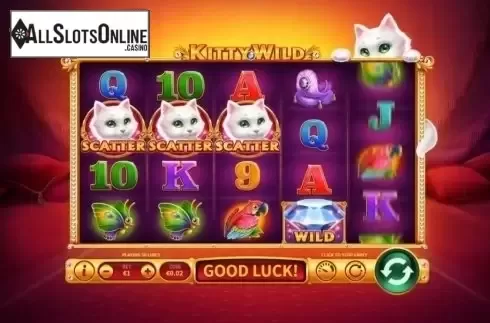 Reel Screen. Kitty Wild from Skywind Group