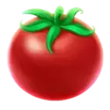 icon 10
