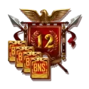 icon 9