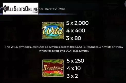 Wild and Scatter Symbols Screen