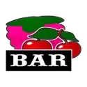 icon 7