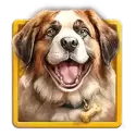 icon 1