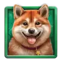 icon 2