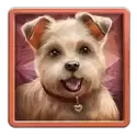 icon 3