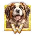 icon 10