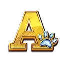 icon 5