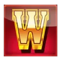 icon 10