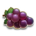 icon 5