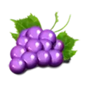 icon 5