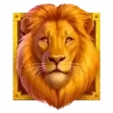 icon 9