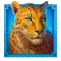 icon 4