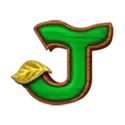 icon 9