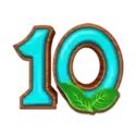 icon 10