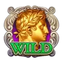 icon 9