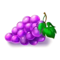 icon 4