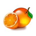 icon 6