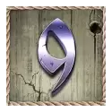 icon 10