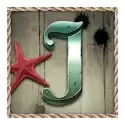 icon 8