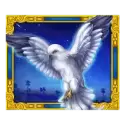 icon 4