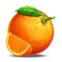 icon 9