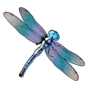 symbol 3