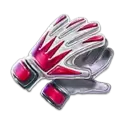 icon 5