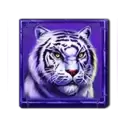 icon 5