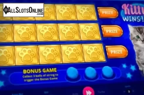 Bonus Game 1. Kitty Wins from NetoPlay