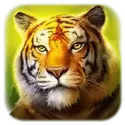 icon 2