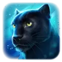 icon 3